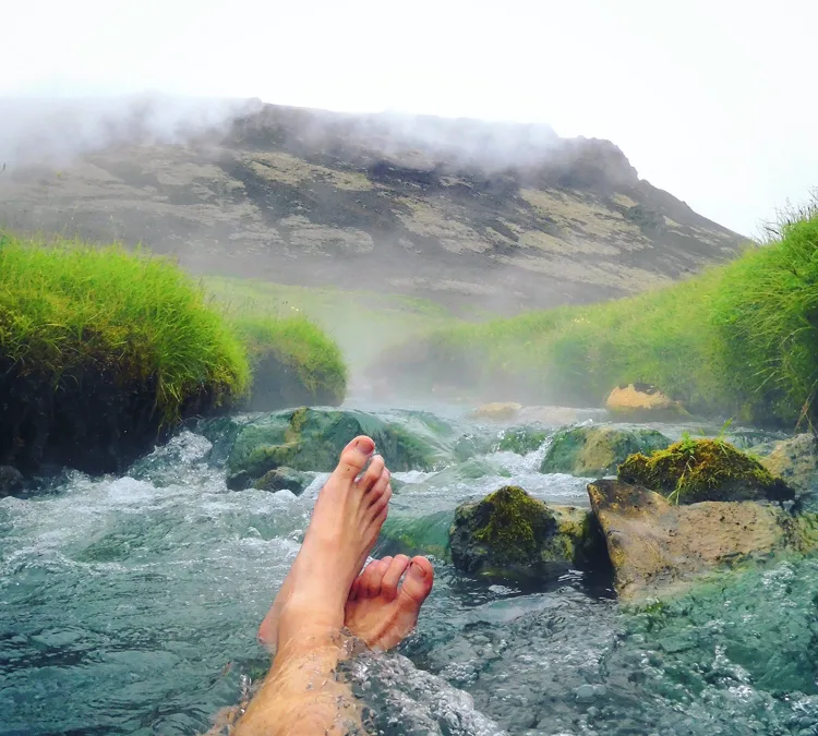 FEED YOUR READ: Travel the World from the Comfort of Your Couch