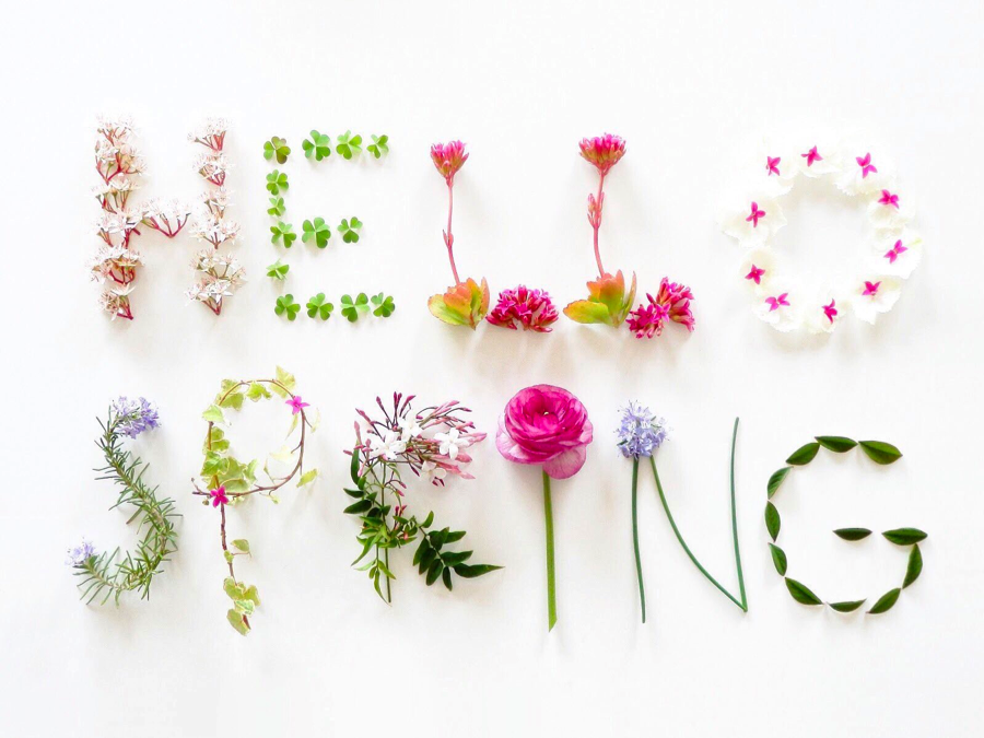 HELLO, Spring!